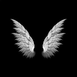 Meet your Posher, Lizbeth